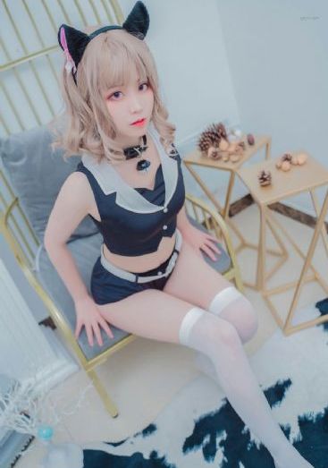 拉布拉多动画片免费观看