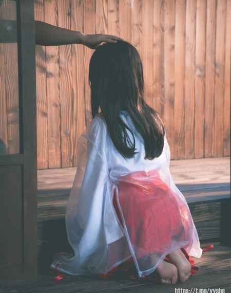 锵锵锵锵锵在线免费观看