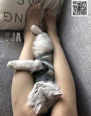 美丽的代价