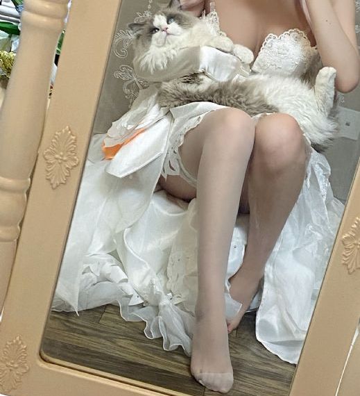 整篇都是黄的肉
