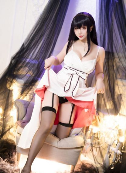 完美奴仆