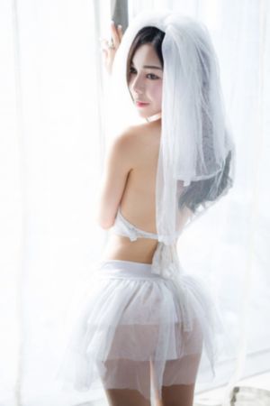 三节片