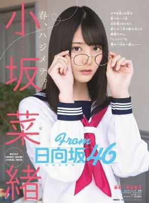 芝加哥警署第十二季