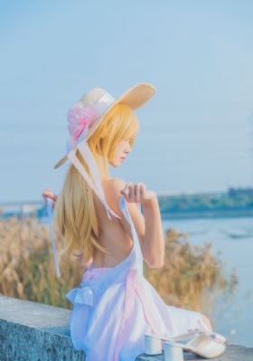 赤裸特工