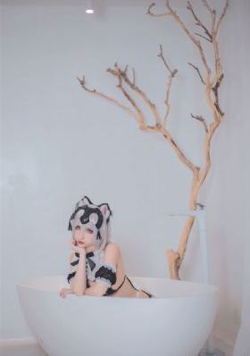 伯爵夫人满天星